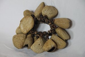 nut-rattle pangi small
