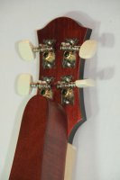 (Bild für) Apalachian Dulcimer