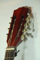 (Bild für) Mandola