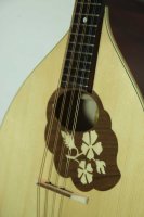 (Bild für) Mandola
