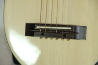 (Bild für) Reisegitarre