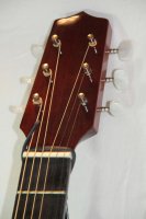 (Bild für) Reisegitarre