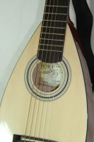 (Bild für) Reisegitarre