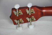 (Bild für) Ukulele - Fichte