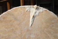 (Bild für) Tischtrommel, Powwow